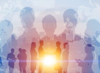 ייעוץ עסקי בדרום: להניע את העסק שלך להצלחה